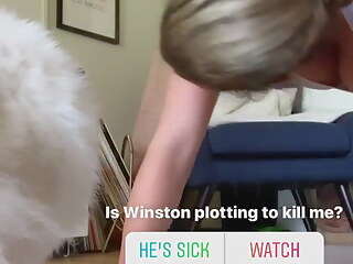 Alex Gervasi fap porn