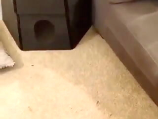 HijabiBambi fap porn